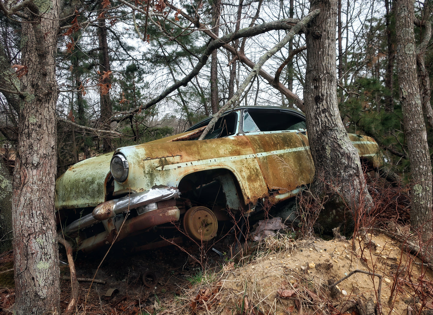 Pine Barrens Car Grave