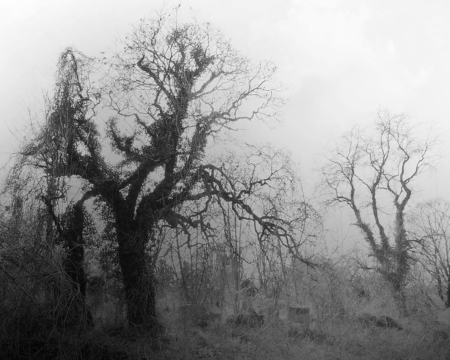 Abandoned Cemetery